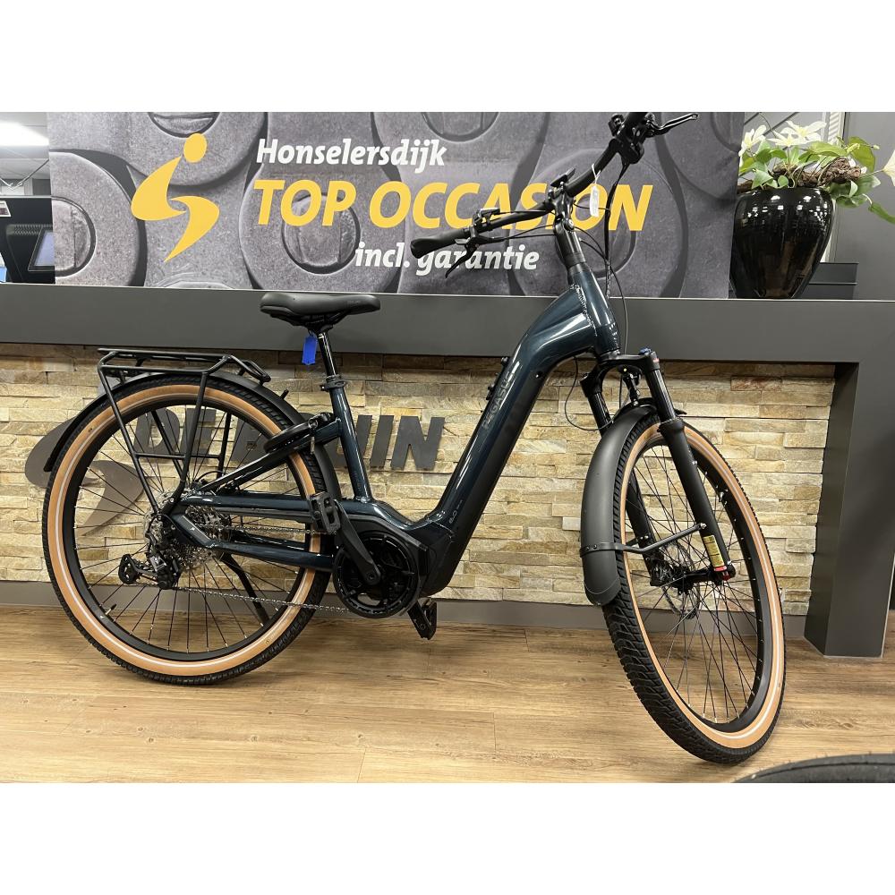 Pegasus Savino EVO CX 45cm